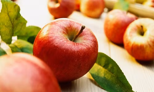 Ngoài ra, mẹ bầu cũng đừng quên bổ sung nguồn vitamin A có trong các thực phẩm như gan động vật, lòng đỏ trứng. Tuy nhiên, khi chế biến các món ăn từ gan động vật thì mẹ bầu nên mua gan ở những cửa hàng bảo đảm về an toàn thực phẩm. Theo các chuyên gia dinh dưỡng thì gan là phủ tạng chứa nhiều đạm, vitamin A và chất sắt rất tốt cho thai nhi. Vậy nhưng việc ăn gan thế nào phải cần có lưu ý vì thừa vitamin A trong gan cũng có thể gây ra những tác động xấu. Mỗi tuần, bà bầu chỉ nên ăn gan khoảng từ 1 - 2 lần và mỗi lần từ 50 - 70 gram mà thôi.