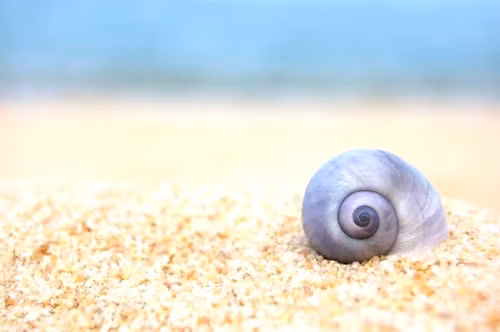 5. Tạo ra giới hạn. Mặc dù bạn có giới hạn nhất định (chẳng hạn như khả năng tài chính, hoặc một số lĩnh vực nào đó), khi đặt ra sai giới hạn, bạn đang cản trở sự thông minh và khả năng học hỏi của mình.