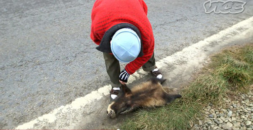 Ăn xác động vật trên đường. Ông Arthur Boyt, sống tại Anh có một thói quen kỳ dị và khó hiểu, đó là nhặt xác của những động vật bị chết do tai nạn giao thông để chế biến đồ ăn. Từ thịt thỏ, gà lôi đến chim lợn, dơi, chồn hôi, nhím… có lẽ chưa động vật nào trong nước Anh là ông chưa được thưởng thức.