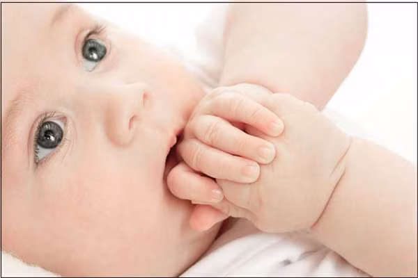 Nếu mẹ không có sữa, nên chọn những sữa dành riêng cho trẻ sinh non. Loại sữa này khác hẳn so với các loại sữa dành cho trẻ sơ sinh bình thường. Nó giàu chất dinh dưỡng, bổ sung thêm các thành phần đặc biệt và dễ tiêu hóa hơn.