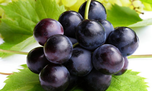 Vỏ nho tím. Vỏ và hạt của quả nho tím có chứa nhiều chất kháng khuẩn, đặc biệt là chất resveratrol có khả năng chống oxy hóa gấp bảy lần vitamin E, có khả năng chống lão hóa, chống hiện tượng máu dồn cục và làm đẹp da, ngăn ngừa nếp nhăn trên khuôn mặt.