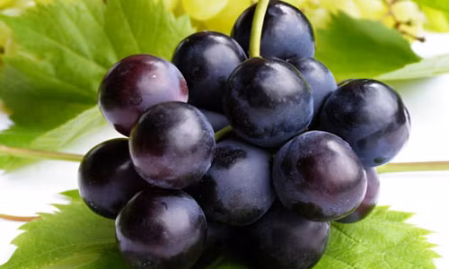 Vỏ nho tím. Vỏ và hạt của quả nho tím có chứa nhiều chất kháng khuẩn, đặc biệt là chất resveratrol có khả năng chống oxy hóa gấp bảy lần vitamin E, có khả năng chống lão hóa, chống hiện tượng máu dồn cục và làm đẹp da, ngăn ngừa nếp nhăn trên khuôn mặt.