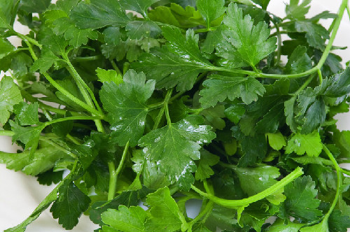 Rau mùi. Giã nhỏ một vài cây rau mùi (cả lá, rễ và thân) với một vài hột muối. Sau đó vắt lấy nước cốt bôi lên môi trước khi đi ngủ và để qua đêm. Làm đều đặn như vậy chừng một tháng bạn sẽ thấy đôi môi mềm và hồng hào hơn rất nhiều.