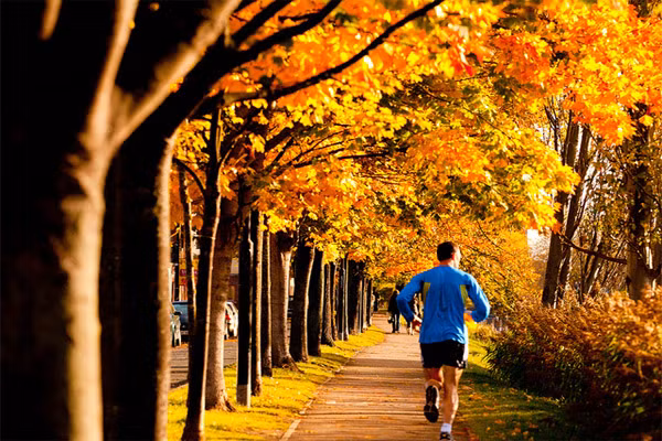 1. Tận dụng lợi thế của thời tiết. Mùa thu là mùa đẹp nhất trong năm, có lá vàng rơi dưới chân, không khí trong lành, nhiệt độ không quá nóng cũng không quá lạnh rất có lợi cho việc tập thể dục. Bạn vừa tập, vừa ngắm phong cảnh tuyệt đẹp không còn gì bằng.