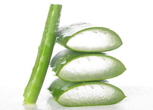 Nha đam. Nước ép nha đam được dùng làm chất dưỡng ẩm hiệu quả. Thoa nước ép nha đam lên môi 3 lần mỗi ngày, giữ khô trên môi khoảng 15 phút rồi rửa lại với nước sạch.