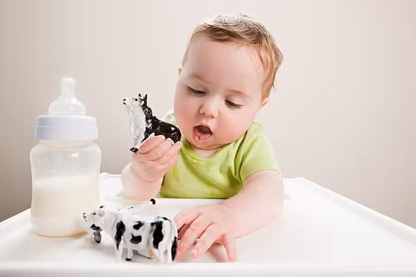 Trên 1 tuổi. Bạn sẽ cho bé chuyển sang giai đoạn uống sữa tươi từ từ. Có thể pha một phần sữa tươi với hai phần sữa mẹ cho bé dùng, nhưng chỉ pha một lượng nhỏ để bé làm quen trước. Sau đó, tăng từng chút một tỷ lệ trong khẩu phần sữa của bé lên mỗi ngày cho đến khi bé hoàn toàn uống được sữa tươi.