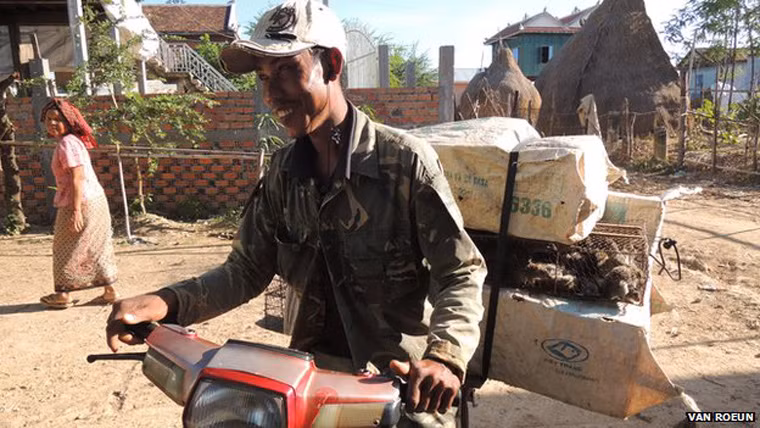 Việc săn bắt chuột lên cao trào vào tháng 6 và tháng 7 sau vụ mùa thu hoạch ở vùng nông thôn thuộc tỉnh Komphong Cham, cách Thủ đô Phnom Penh 60km. Thời điểm này, chuột có ít thức ăn, cộng thêm việc đây là mùa mưa, chúng phải di chuyển lên vùng cao hơn và sập bẫy. Chhoeun Chhim, một nông dân 37 tuổi tại Kompong Cham cho biết mỗi tối, anh đặt tới 120 chiếc bẫy.