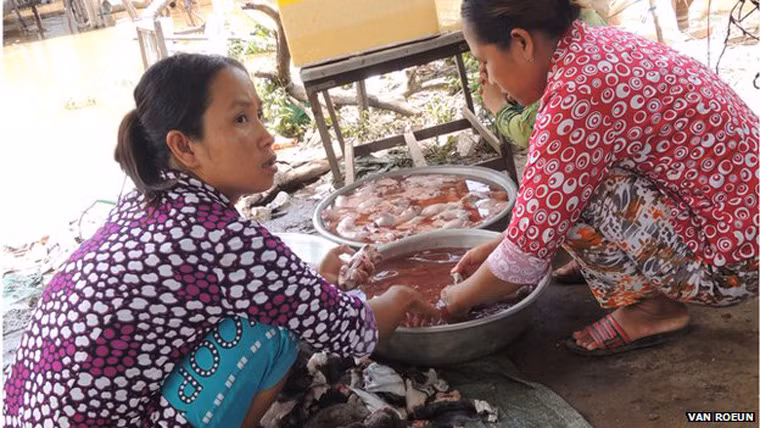 Toàn bộ số chuột mà người chủ thu mua trong một buổi sáng, vào khoảng 200 kg, sẽ được xuất khẩu sang Việt Nam. Thịt chuột có thể nướng, rán, nấu súp hoặc băm nhỏ làm thành pate, Chheng An, 22 tuổi, người đang chuẩn bị vận chuyển những lồng chuột bằng xe máy để qua biên giới Việt Nam giao hàng. Chuyến đi của anh sẽ kéo dài 4 giờ. “Loại thịt này rất ngon, có thể chế biến theo nhiều cách. Thịt chuột đồng ở Việt Nam giá rất cao, còn ở đây lại rất rẻ”, Chheng giải thích.