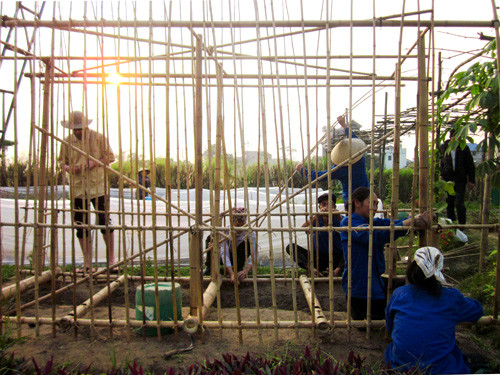 Nha bang chai nhua o Ha Noi khien bao ngoai kinh ngac-Hinh-2
