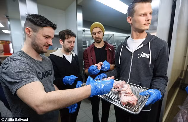 Hơn 160 cửa hàng KFC ở Úc đã gây bất ngờ khi cho phép các khách hàng tham quan khu bếp chế biến đồ ăn.