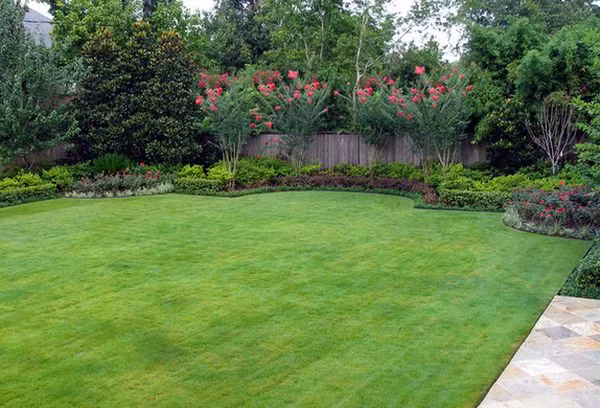 Bao quanh ngôi nhà, nên chọn những loại cây xanh có màu sắc tươi mát.