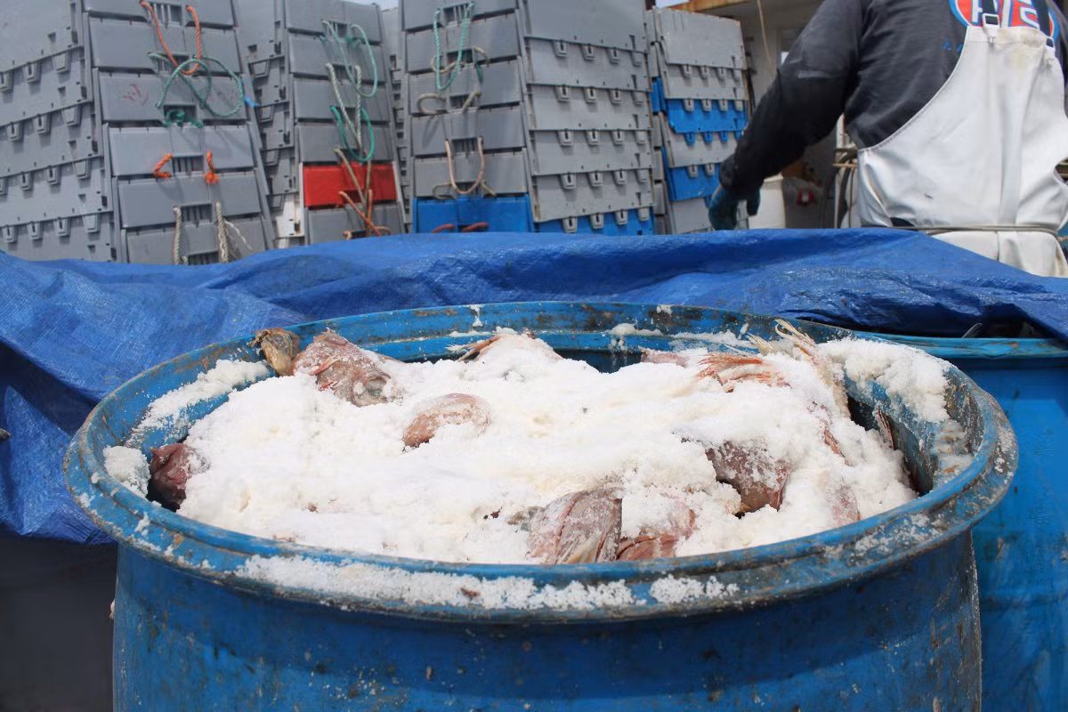 Theo thuyền trưởng Craig, mỗi ngày ông phải đánh bắt được 68 kg tôm mới đủ tiền trang trải chi phí nhiên liệu và mồi bẫy.