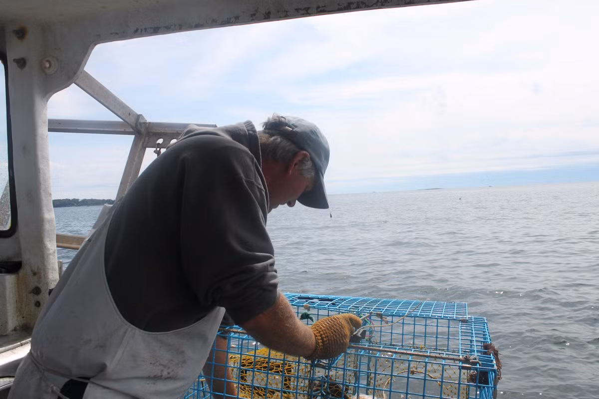 Mặc dù vậy, vị thuyền trưởng này tuyên bố sẽ không bao giờ từ bỏ công việc. "Đây là cách sống của tôi và tôi thích đánh bắt tôm. Và tôi sẽ tiếp tục làm cho đến khi tôi không thể làm được nữa", ông nói.