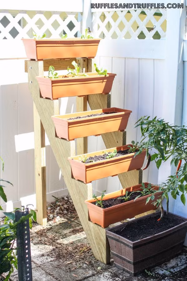 ...hoặc tạo một khu "vườn bậc thang" như thế này.