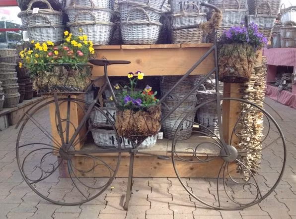 Bằng cách tận dụng chiếc xe đạp cũ, bạn có thể tiết kiệm được chi phí mua chậu hoa, giỏ hoa đắt tiền.