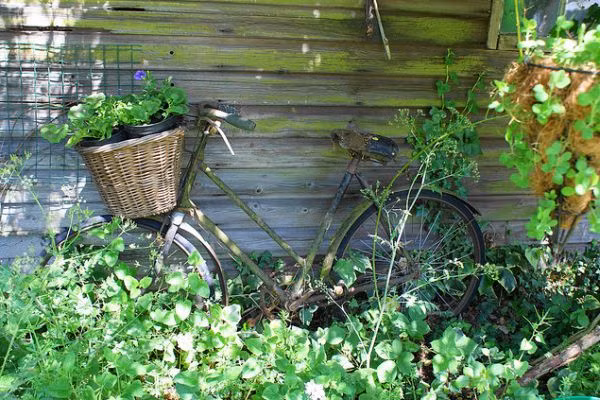 Chỉ cần một chút sáng tạo, bạn sẽ có một giỏ hoa hoặc cây cảnh đẹp xinh.