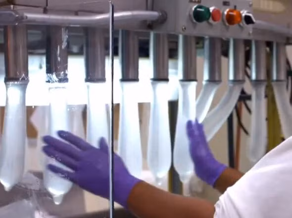 Bao cao su đạt tiêu chuẩn sẽ rộng tới 750% so với kích thước ban đầu của chúng.