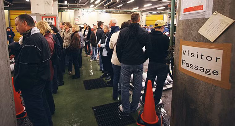 Những du khách được tham dự có thể chứng kiến phiên đấu giá từ một khu vực thiết kế cho người xem mà không được phép xem từ bất kì chỗ nào khác hoặc chụp ảnh với đèn flash, làm gián đoạn việc kinh doanh trong phiên đấu giá. Ảnh: khu vực đứng xem phiên đấu giá cá ngừ dành cho du khách.