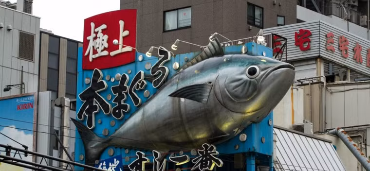 Chợ cá Tsukiji xuất hiện từ thế kỷ 16, chỉ cách phố chính Ginza sang trọng nổi tiếng nhất nhì thủ đô Tokyo chừng 15 phút đi bộ.