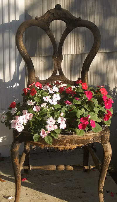 Chiếc ghế cũ sờn màu sơn này vẫn có tác dụng khi biến thành chậu trồng hoa.