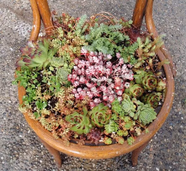 Đảm bảo ngôi nhà của bạn sẽ có một chiếc bồn hoa cực đẹp và lạ mắt.