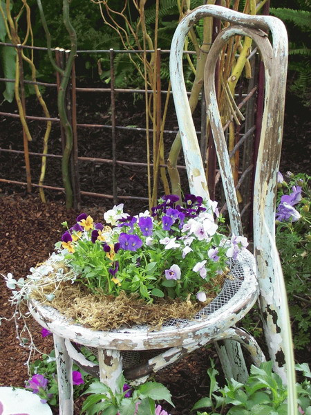 Nếu đó là chiếc ghế quá cũ và bạn không muốn phải mất công sơn lại như cách trên thì vẫn có cách để biến nó thành khu vườn hoa độc đáo cho gia đình mình.