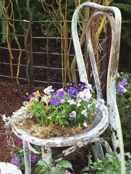 Nếu đó là chiếc ghế quá cũ và bạn không muốn phải mất công sơn lại như cách trên thì vẫn có cách để biến nó thành khu vườn hoa độc đáo cho gia đình mình.