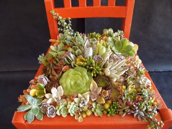 Trang tri nha dep an tuong tu bien doi nhung chiec ghe cu