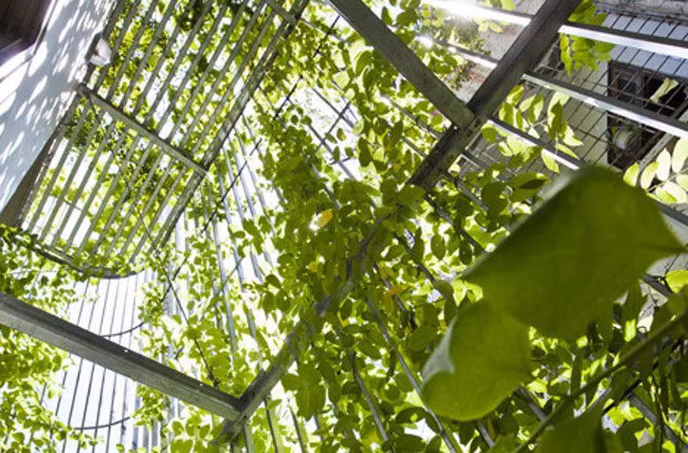 Theo đó, kiến trúc sư này đã giúp một căn nhà 15 năm tuổi vốn tối tăm, ẩm thấp ở trung tâm thành phố Hà Nội dường như được hồi sinh với những thay đổi về cây xanh và ánh sáng.