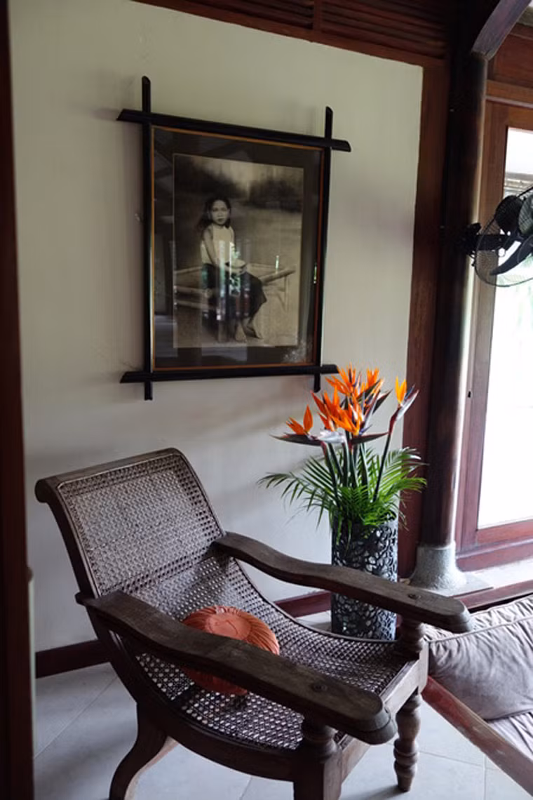 Bà Snowball cho biết, hầu hết đồ nội thất và các tác phẩm nghệ thuật trong nhà đều có nguồn gốc Việt Nam. Tranh treo tường vẽ bằng chì của họa sĩ Hà Nội, Nguyễn Bảo Nguyên.