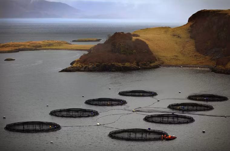 Ở vị trí thứ tám, khu nghỉ dưỡng Padstow, ở Cornwall, cũng có giá phòng cho thuê là 84 bảng/đêm.