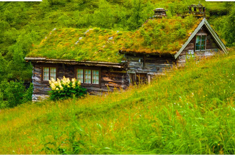 Thật kinh ngạc, những ngôi nhà cổ kính với mái cỏ trên thế giới cũng có tuổi thọ tương tự, mặc dù họ chỉ sử dụng vỏ cây bạch dương bản địa để lót mái. Điều này đã được giải thích là bởi vỏ cây bạch dương có độ bền rất tốt, ít bị hư hại bởi yếu tố thời tiết.