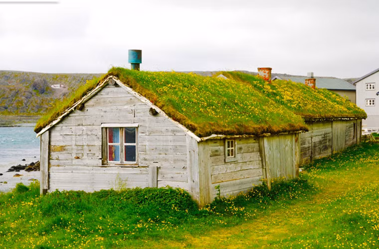Một ngôi nhà đánh cá mái cỏ ở Na Uy.