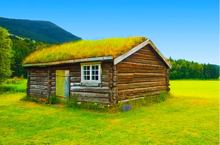 Lối vào của một ngôi nhà mái cỏ kín cổng cao tường.