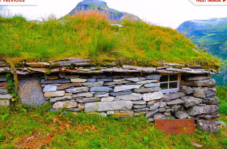 Kiến trúc xanh này tạo không gian thoáng đãng cho người ở.