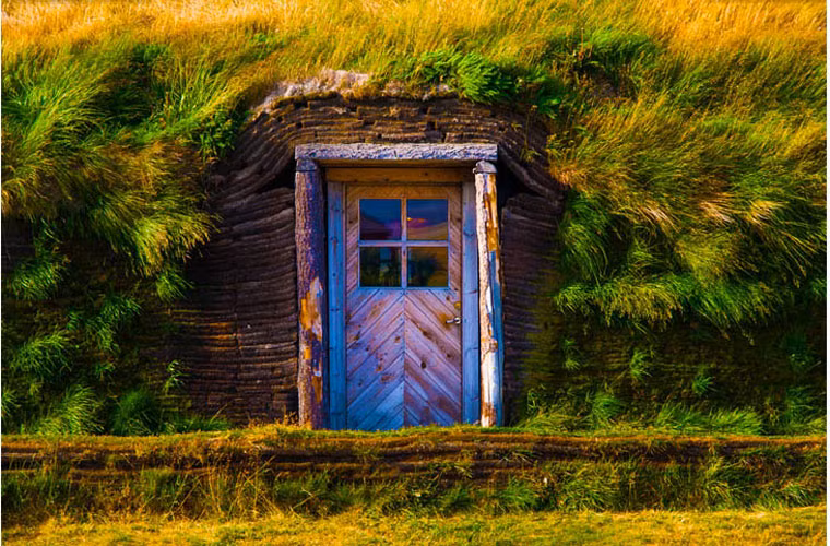 Cỏ phủ xanh tốt trên mái của ngôi nhà.