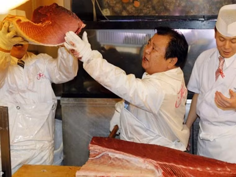 Chợ cá Osaka mở cửa cho tất cả du khách thăm quan với các quy tắc là không được ngó nghía vào những chiếc xe kéo ba bánh nhỏ và không chạm vào cá.