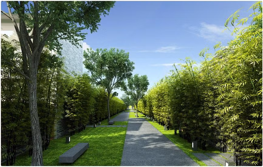 Hai con đường dẫn từ lối vào sẽ kéo dài đến bên bờ biển, đồng thời kết nối với tất cả các khu vực dịch vụ.