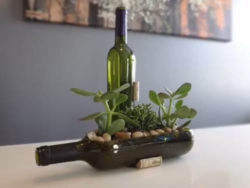 Bạn có thể trồng các loài cây hoa thấp bé phù hợp với diện tích nhỏ.