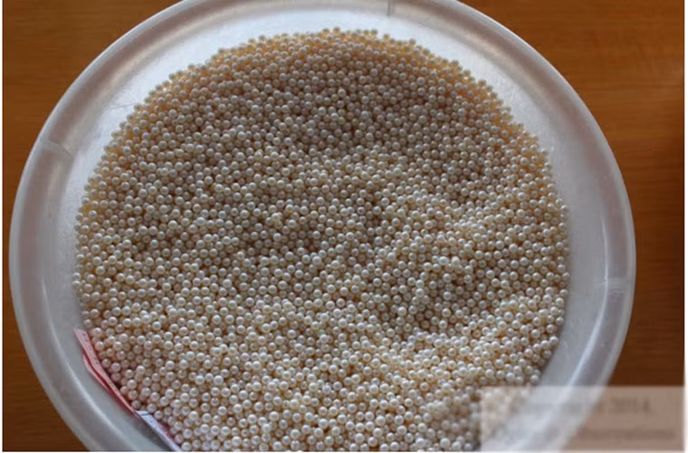 Những viên ngọc trai sau khi được làm sạch với khá nhiều màu sắc tự nhiên như trắng, hồng, hoa oải hương, màu xám và đen.