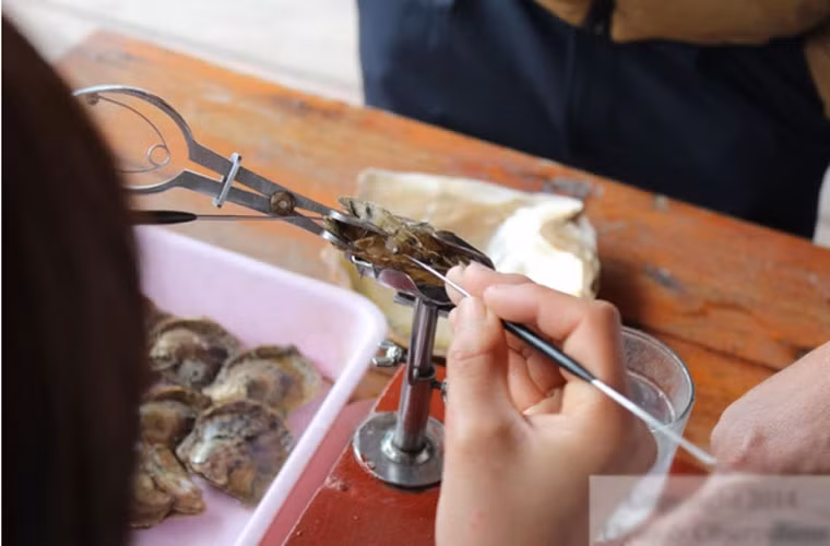 Yakushi là một công ty Nhật Bản có trụ sở kinh doanh tại Trung Quốc. Đây là nơi chế tác ra những viên ngọc trai chất lượng, cung ứng cho Tiffany &amp; Co - thương hiệu trang sức lâu đời của Mỹ.