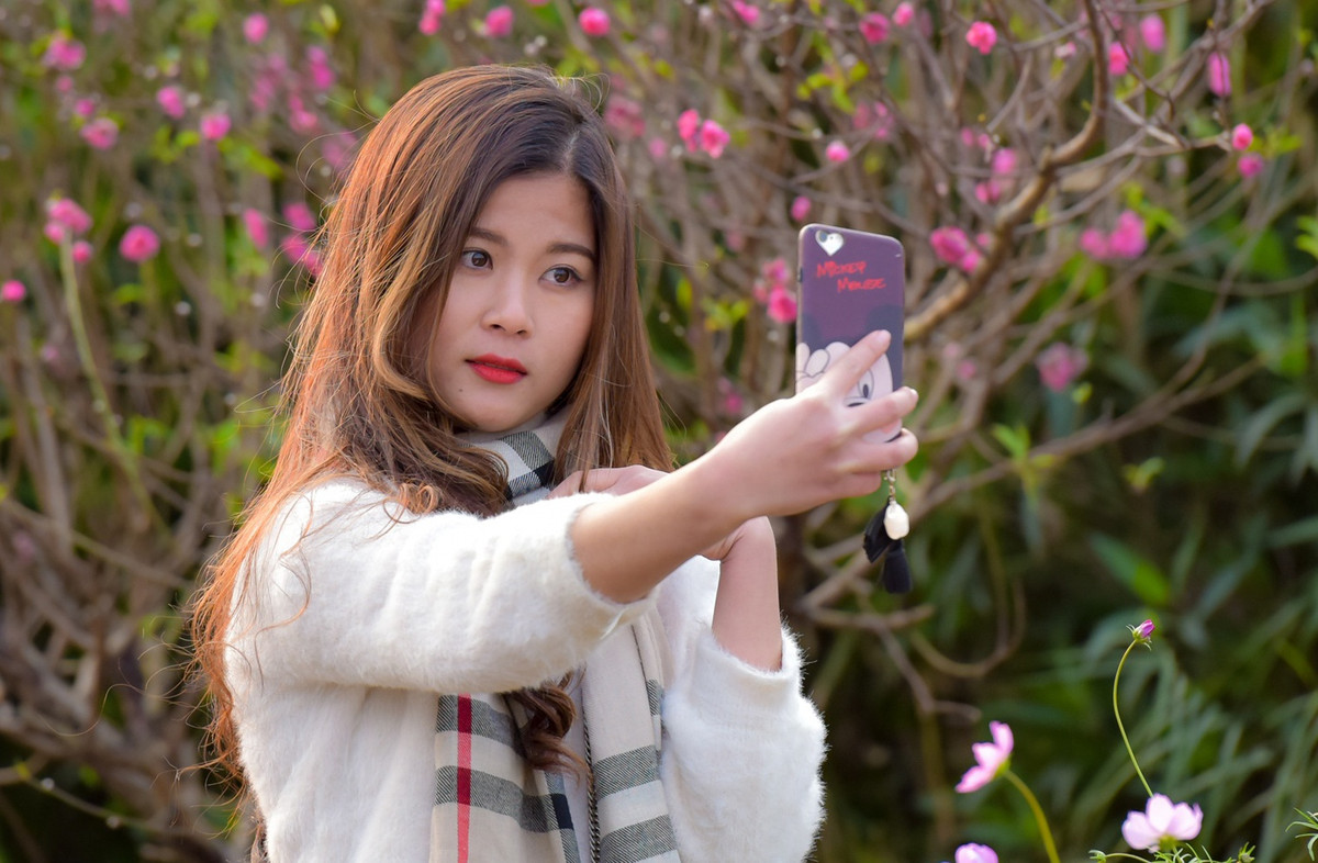 Mien Bac don Tet Tan Suu trong thoi tiet am ap