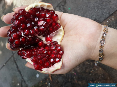 4. Hạt lựu đỏ. Hạt lựu là loại trái cây nhiệt đới chứa nhiều đường, chất khoáng và vitamin. Hạt lựu không nóng, được dùng để chế biến nước giải khát cho cơ thể. Ảnh: vuonrauxanh.org.