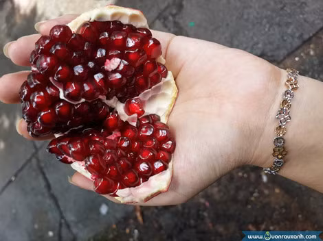 4. Hạt lựu đỏ. Hạt lựu là loại trái cây nhiệt đới chứa nhiều đường, chất khoáng và vitamin. Hạt lựu không nóng, được dùng để chế biến nước giải khát cho cơ thể. Ảnh: vuonrauxanh.org.