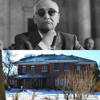 Biet thu nha vuon xa xi cua dai ca Mafia giet nguoi trong chop mat-Hinh-4