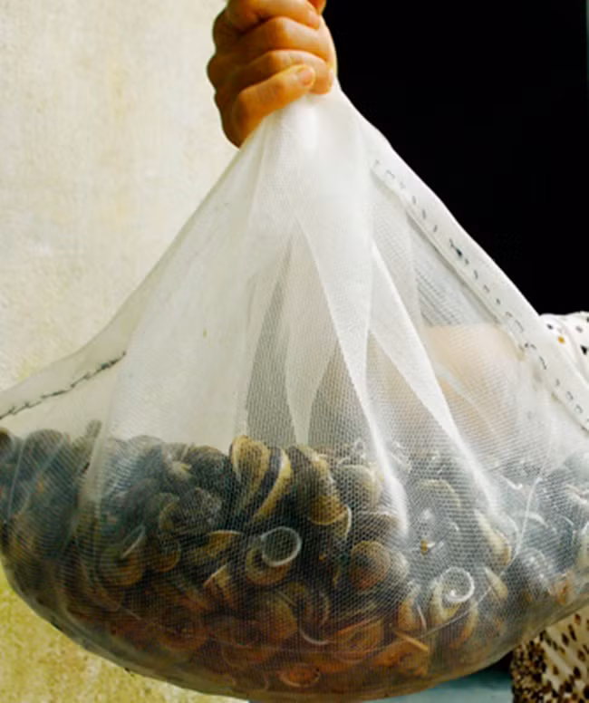 3 thu loc troi cu den mua la xuat hien, kiem tien trieu/ngay-Hinh-3