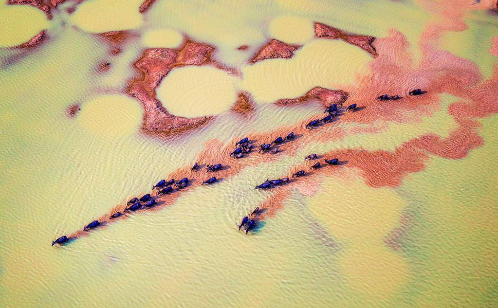 Bức ảnh chụp tại Tây Ninh của tác giả Nguyễn Tấn Tuấn.