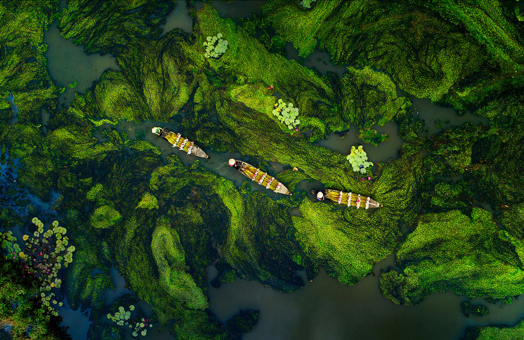 Khung cảnh miền Tây mùa nước nổi của tác giả Mai Thành Chương.