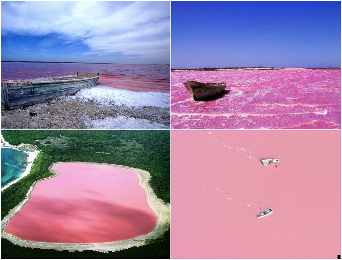 9. Hồ Hoa hồng Retba rộng khoảng 3km vuông, ở Sénégal. Cách thủ đô Dakar, phía tây bắc châu Phi khoảng 35 km về phía đông bắc, nổi tiếng vì màu hồng kỳ lạ, có độ mặn 40%, hơn nước biển Chết.