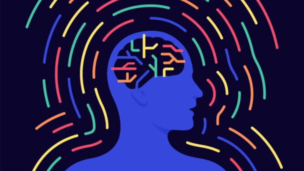  13. Kích thước vòng quan hệ xã hội liên quan đến kích thước não bộ. Chúng ta có thể dự đoán kích thước vòng quan hệ xã hội của một người dựa trên kích thước “vỏ não quỹ đạo trước trán”. Phần vỏ não này càng lớn, họ càng có nhiều mối quan hệ. Trung bình sẽ có khoảng 147.8 người bạn.